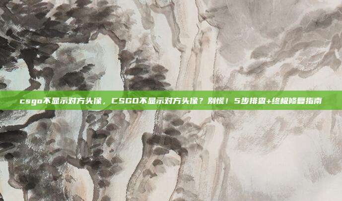 csgo不显示对方头像，CSGO不显示对方头像？别慌！5步排查+终极修复指南