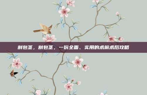 割包茎，割包茎，一份全面、实用的术前术后攻略