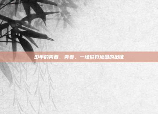 少年的青春，青春，一场没有地图的出征