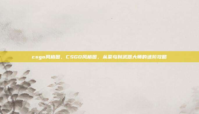csgo风格图，CSGO风格图，从菜鸟到武器大师的进阶攻略