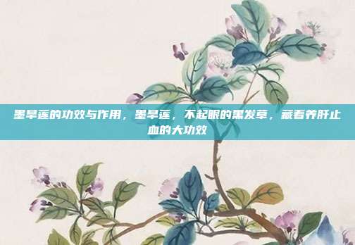 墨旱莲的功效与作用,墨旱莲,不起眼的黑发草,藏着养肝止血的大功效