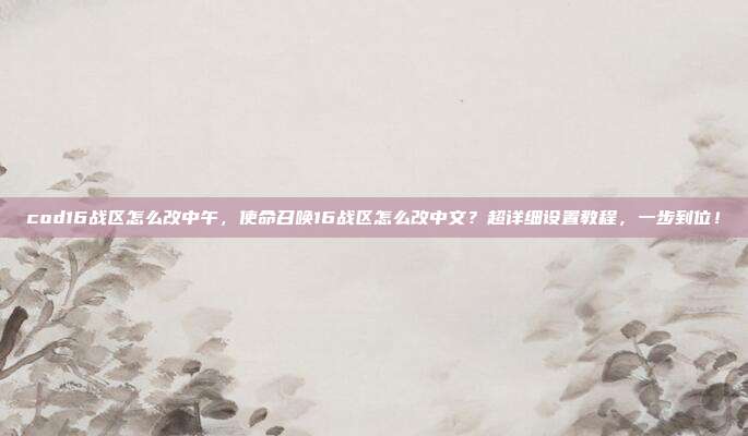 cod16战区怎么改中午，使命召唤16战区怎么改中文？超详细设置教程，一步到位！