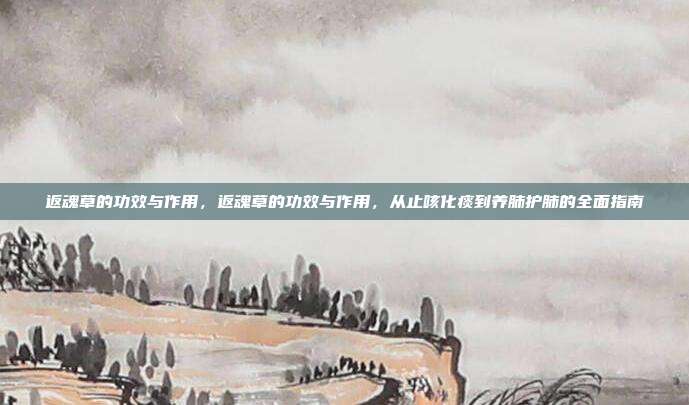 返魂草的功效与作用，返魂草的功效与作用，从止咳化痰到养肺护肺的全面指南