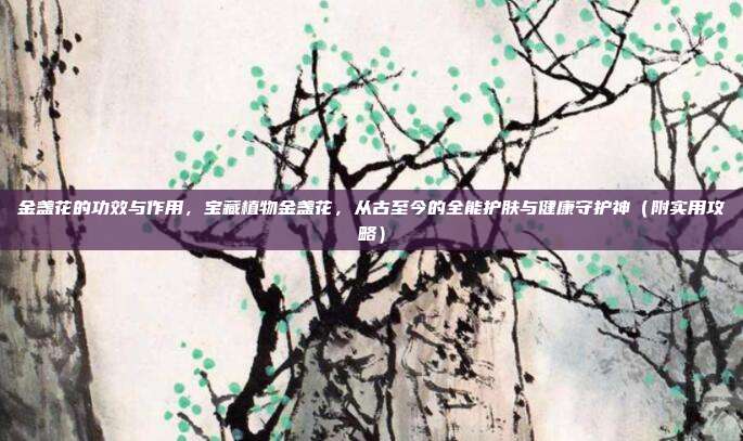 金盏花的功效与作用，宝藏植物金盏花，从古至今的全能护肤与健康守护神（附实用攻略）