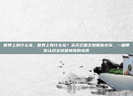 世界上有什么鸟,世界上有什么鸟?从天空霸主到萌宠小鸟,一篇带你认识全球最神奇的鸟类