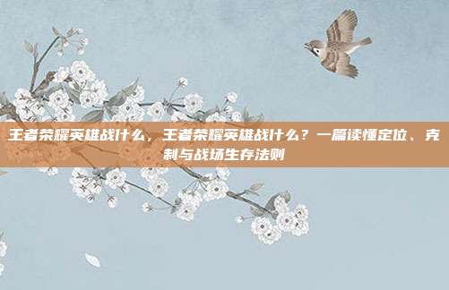 王者荣耀英雄战什么,王者荣耀英雄战什么?一篇读懂定位、克制与战场生存法则