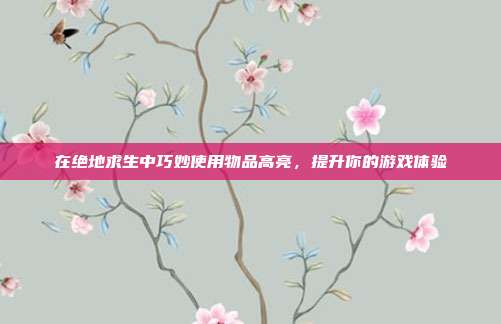 在绝地求生中巧妙使用物品高亮，提升你的游戏体验