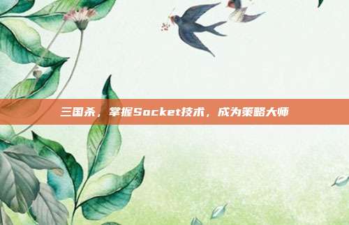 三国杀，掌握Socket技术，成为策略大师