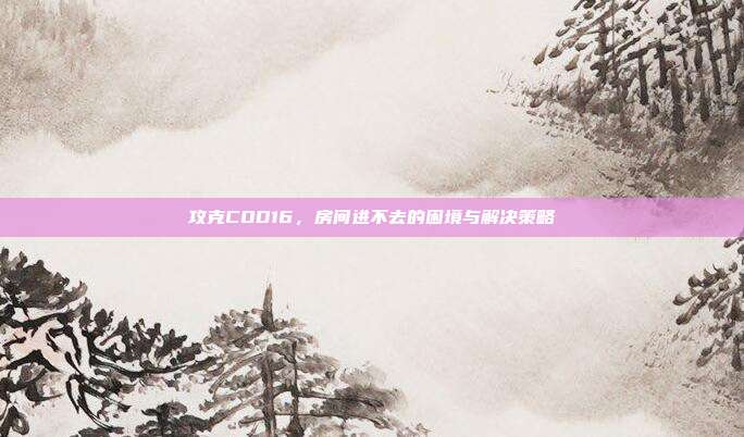攻克COD16，房间进不去的困境与解决策略