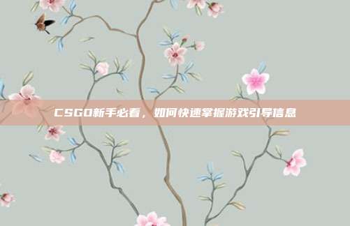 CSGO新手必看，如何快速掌握游戏引导信息
