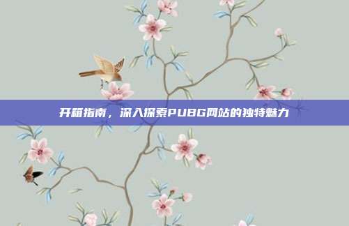 开箱指南，深入探索PUBG网站的独特魅力