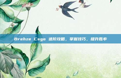 Brehze Csgo 进阶攻略,掌握技巧,提升胜率