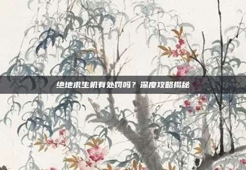 绝地求生机有处罚吗?深度攻略揭秘