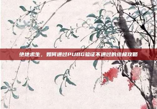 绝地求生,如何通过PUBG验证不通过的终极攻略