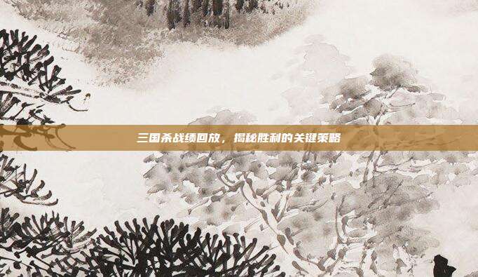 三国杀战绩回放,揭秘胜利的关键策略