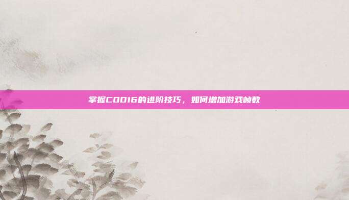 掌握COD16的进阶技巧,如何增加游戏帧数