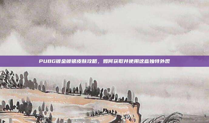 PUBG镀金镀银皮肤攻略,如何获取并使用这些独特外观