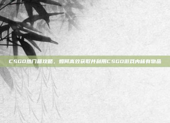 CSGO热门箱攻略,如何高效获取并利用CSGO游戏内稀有物品