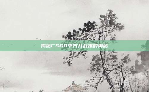 揭秘CSGO中方刀战术的奥秘
