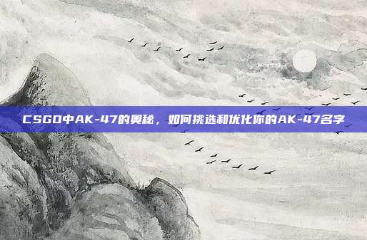 CSGO中AK-47的奥秘，如何挑选和优化你的AK-47名字
