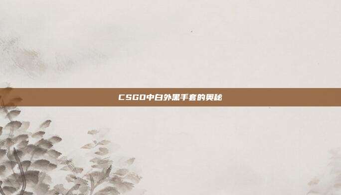 CSGO中白外黑手套的奥秘