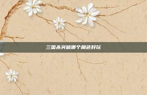 三国杀突破哪个角色好玩
