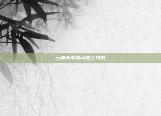 三国杀设置问题全攻略