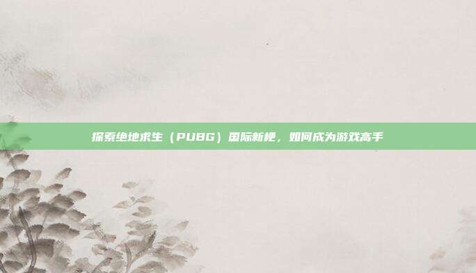探索绝地求生(PUBG)国际新梗,如何成为游戏高手