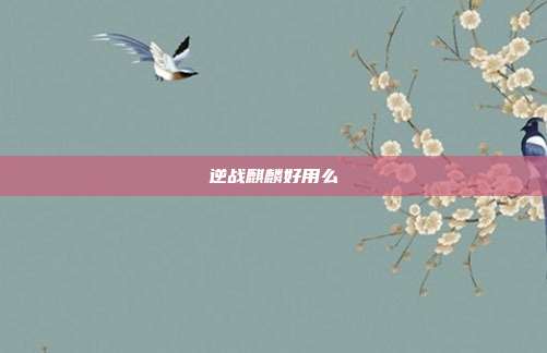 逆战麒麟好用么