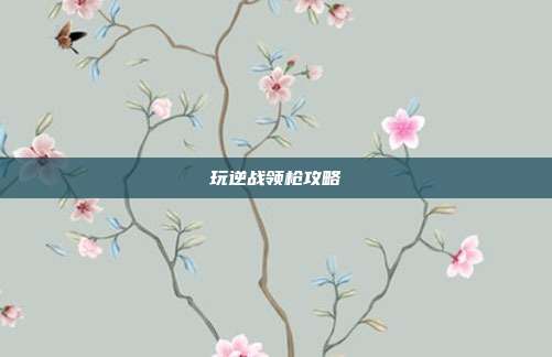 玩逆战领枪攻略