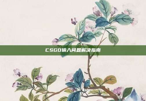 CSGO输入问题解决指南