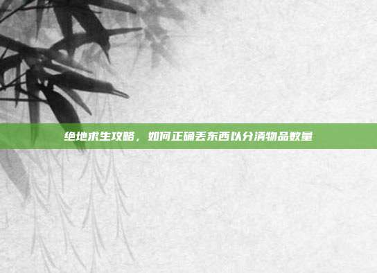 绝地求生攻略,如何正确丢东西以分清物品数量