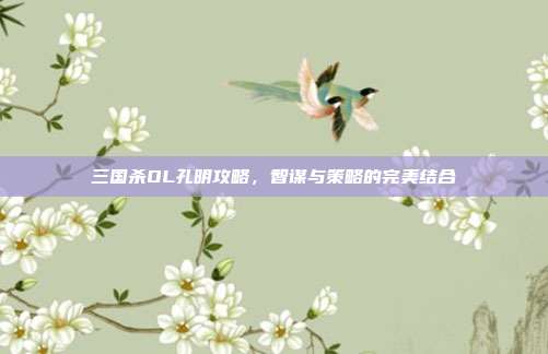 三国杀OL孔明攻略,智谋与策略的完美结合