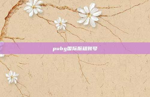 pubg国际服租账号