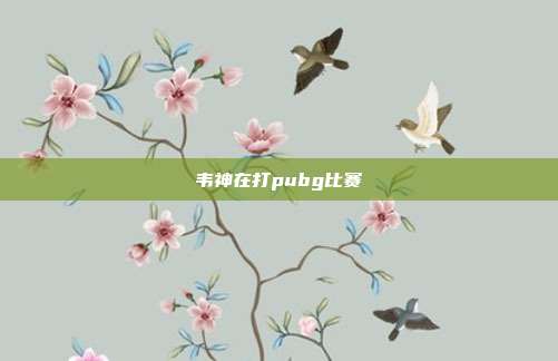 韦神在打pubg比赛