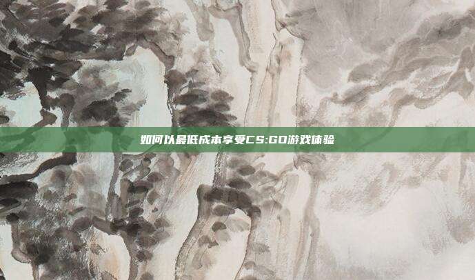 如何以最低成本享受CS:GO游戏体验