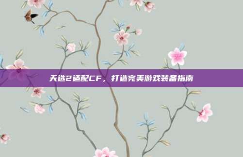 天选2适配CF,打造完美游戏装备指南