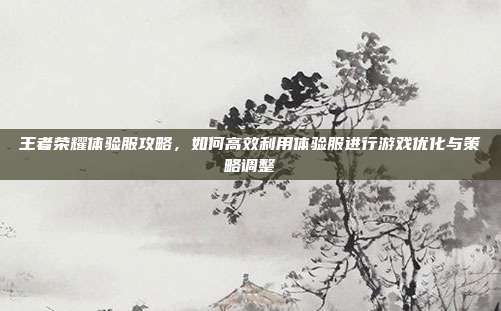 王者荣耀体验服攻略，如何高效利用体验服进行游戏优化与策略调整