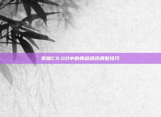 掌握CS:GO中的弹道颜色调整技巧