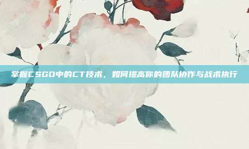 掌握CSGO中的CT技术,如何提高你的团队协作与战术执行