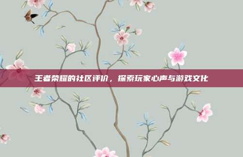 王者荣耀的社区评价,探索玩家心声与游戏文化
