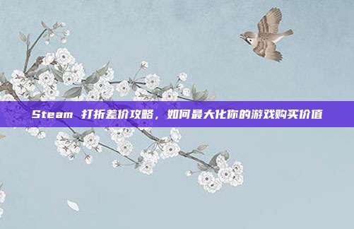 Steam 打折差价攻略,如何最大化你的游戏购买价值