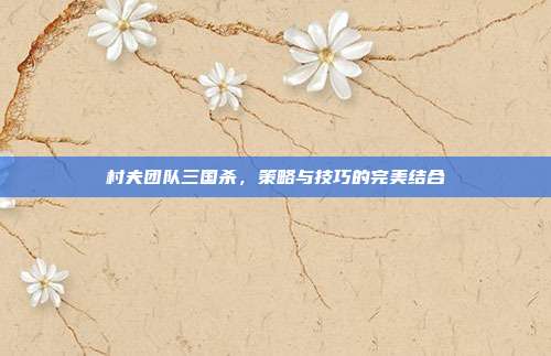 村夫团队三国杀,策略与技巧的完美结合