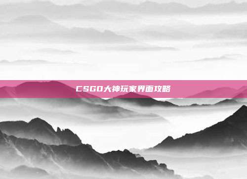 CSGO大神玩家界面攻略