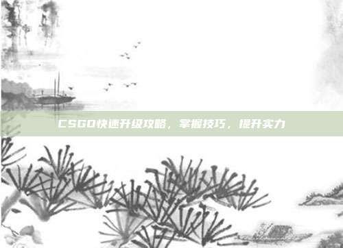 CSGO快速升级攻略,掌握技巧,提升实力