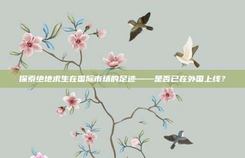 探索绝地求生在国际市场的足迹——是否已在外国上线？
