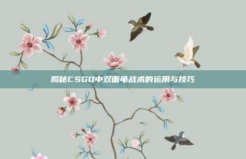 揭秘CSGO中双面龟战术的运用与技巧
