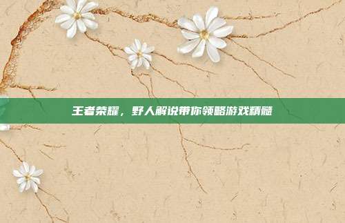 王者荣耀,野人解说带你领略游戏精髓