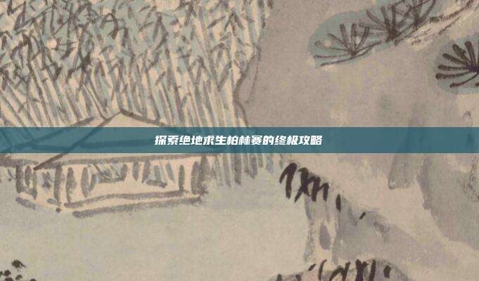 探索绝地求生柏林赛的终极攻略