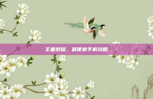 王者荣耀,最便宜手机攻略